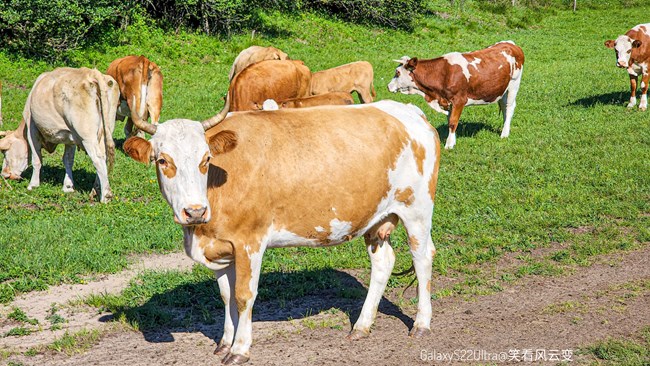 《每周星鮮事》 第115期:三星Galaxy折疊屏系列 新品發(fā)布會