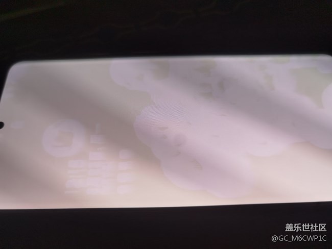 三星s20ultra 5G，使用過程中白屏，花屏好像是通病??！