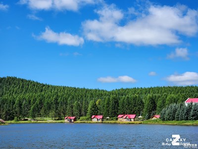 Galaxy Z Fold4   草原隨拍