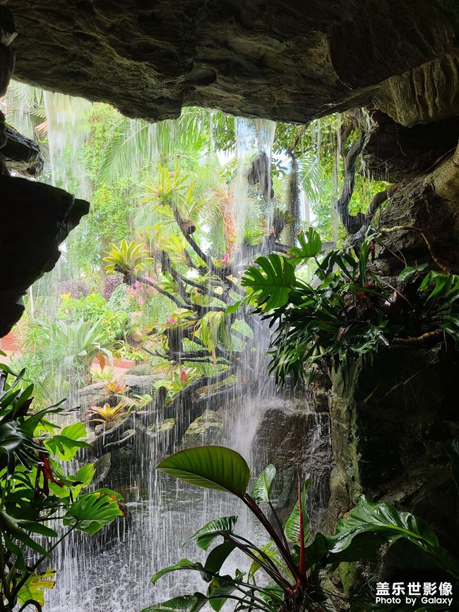 《每周星鮮事》 第115期:三星Galaxy折疊屏系列 新品發(fā)布會