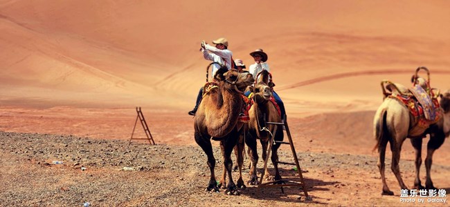 《每周星鮮事》 第115期:三星Galaxy折疊屏系列 新品發(fā)布會