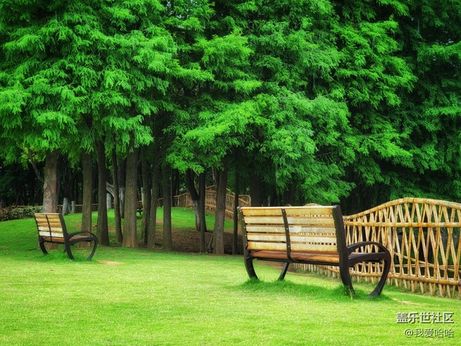 《每周星鮮事》 第115期:三星Galaxy折疊屏系列 新品發(fā)布會