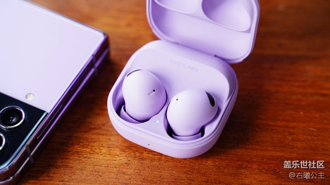 高保真音效 舒適佩戴感 Samsung Galaxy Buds2 Pro精美圖賞