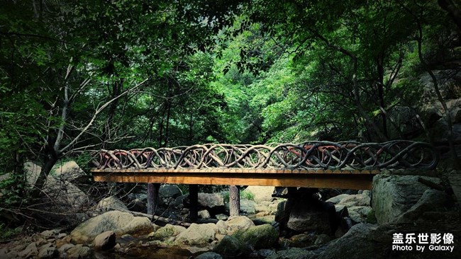 《每周星鮮事》 第115期:三星Galaxy折疊屏系列 新品發(fā)布會