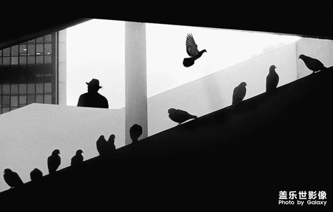 《每周星鮮事》 第115期:三星Galaxy折疊屏系列 新品發(fā)布會