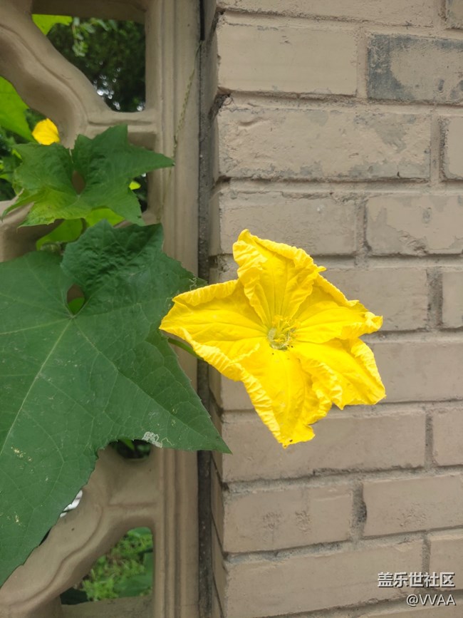 【秋高氣爽】秋風好涼爽