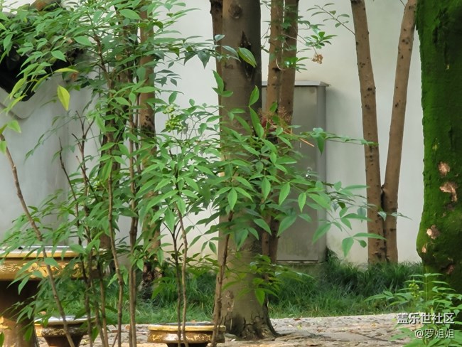 【秋高氣爽】+公園一角