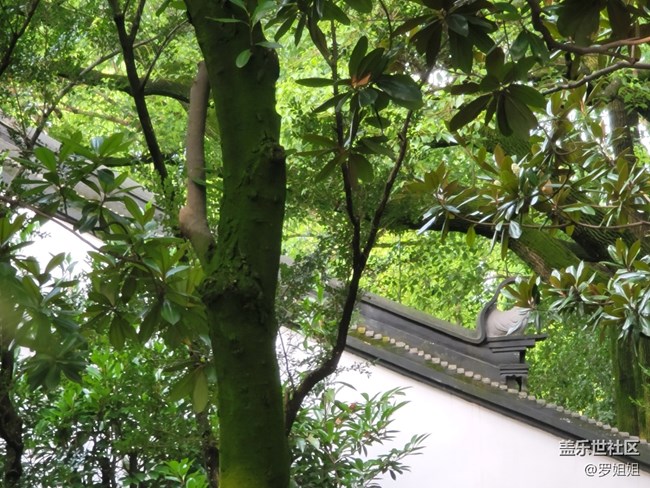 【秋高氣爽】+公園一角