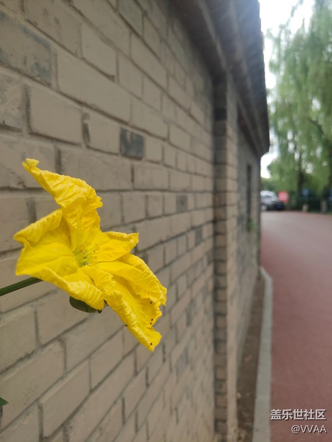 【秋高氣爽】秋風好涼爽