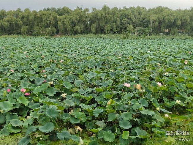 【秋高氣爽】秋風好涼爽