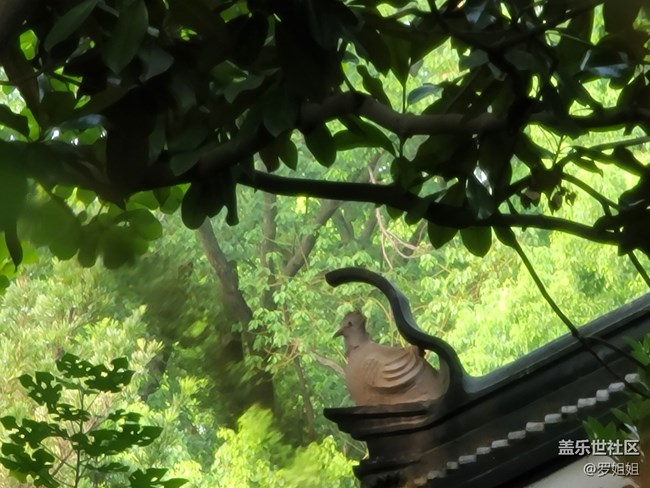 【秋高氣爽】+公園一角