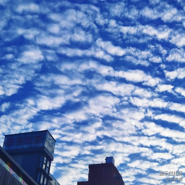 【廣闊天地】沈陽的云