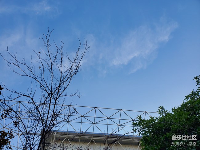 【秋高氣爽】天空