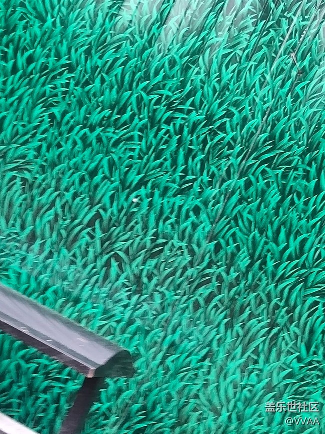 【秋高氣爽】秋風好涼爽