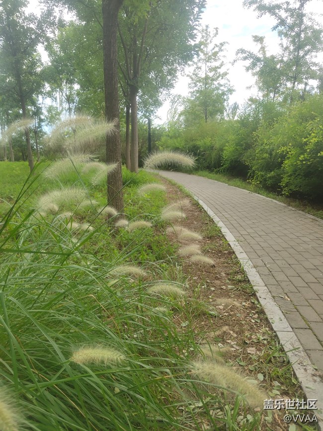 【秋高氣爽】秋風好涼爽