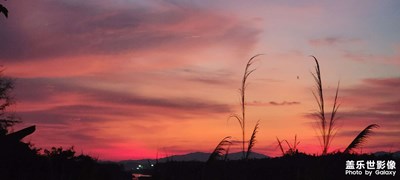 康禾一日游