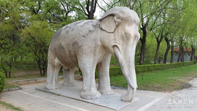 隨便看看