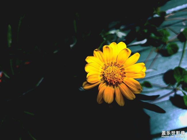 《每周星鮮事》 第116期:三星Galaxy折疊屏系列 新品發(fā)布會(huì)