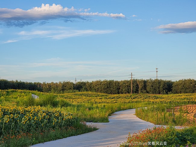 《每周星鮮事》 第116期:三星Galaxy折疊屏系列 新品發(fā)布會(huì)