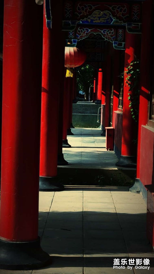 《每周星鮮事》 第116期:三星Galaxy折疊屏系列 新品發(fā)布會(huì)