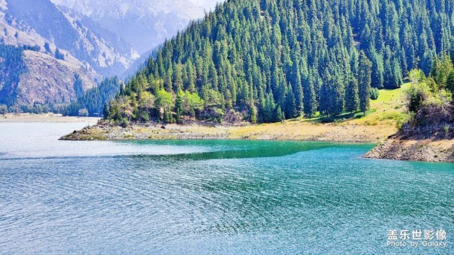 《每周星鮮事》 第116期:三星Galaxy折疊屏系列 新品發(fā)布會(huì)