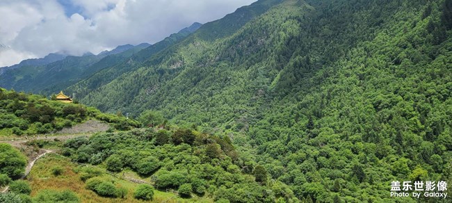 《每周星鮮事》 第116期:三星Galaxy折疊屏系列 新品發(fā)布會(huì)