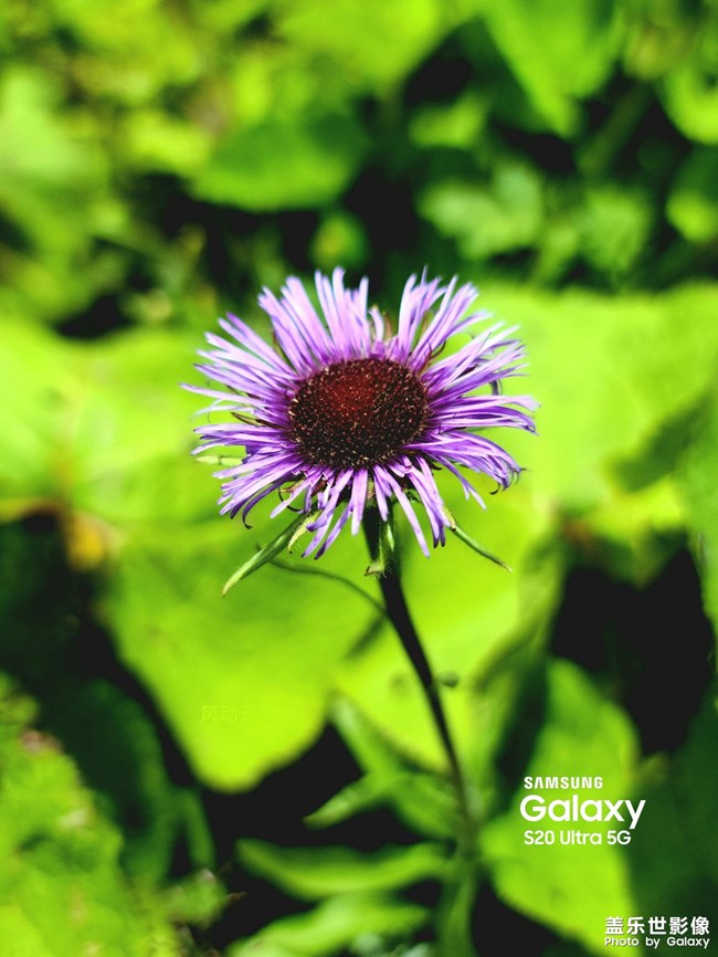 《每周星鮮事》 第116期:三星Galaxy折疊屏系列 新品發(fā)布會(huì)