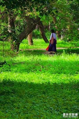 《公園掠影》