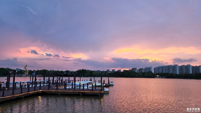 《每周星鮮事》 第117期: