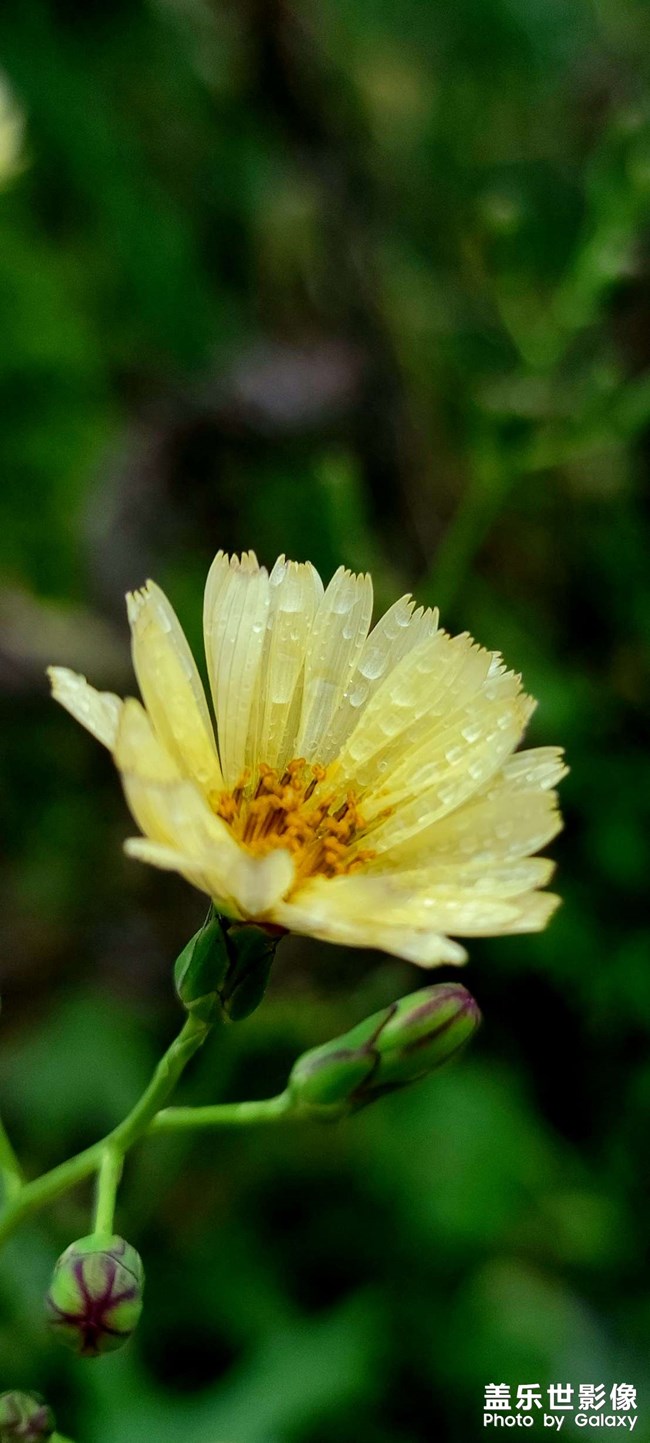 《每周星鮮事》 第117期: