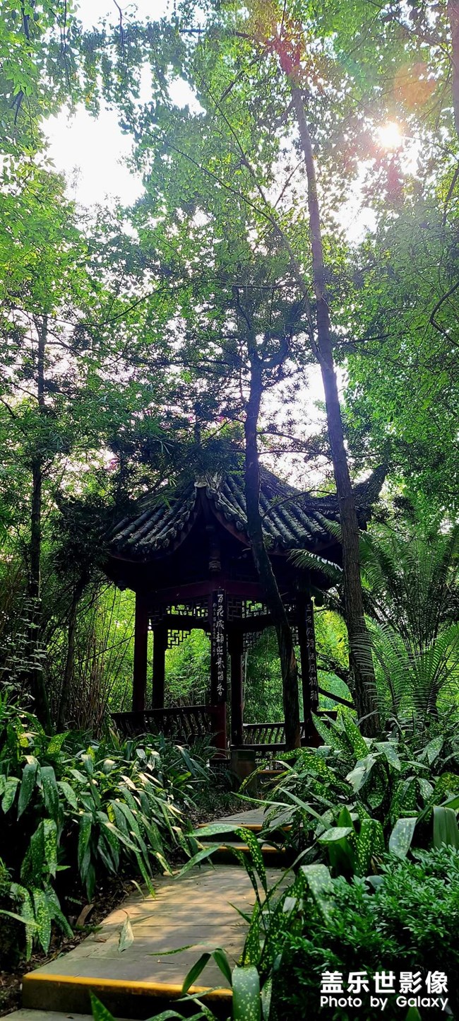 《每周星鮮事》 第117期: