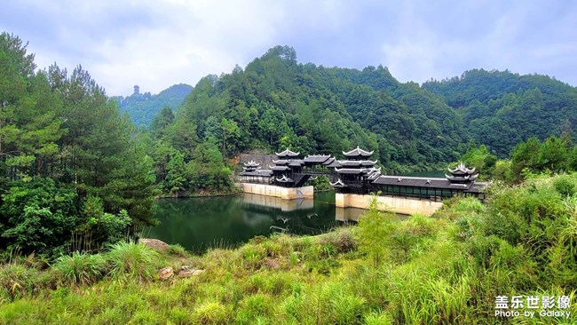 《每周星鮮事》 第117期: