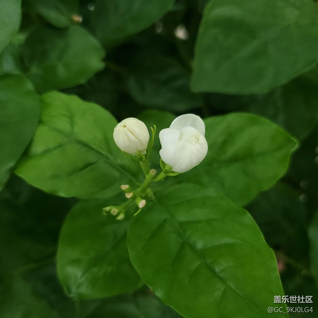 三星手機(jī)地震預(yù)警在哪里打開