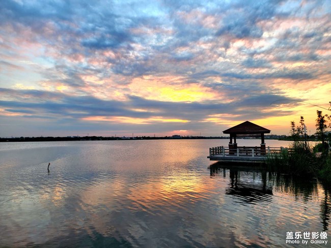 《每周星鮮事》 第117期: