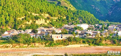 【場(chǎng)景小拍】+中原綠意