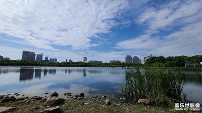 【美在身邊】世紀公園
