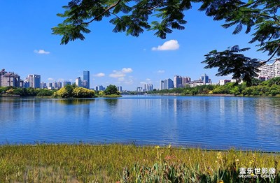 [美在身邊]游園隨拍