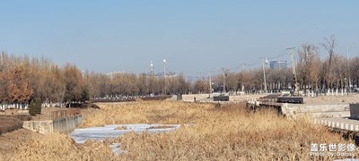渾南區(qū)景色