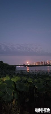 中秋月