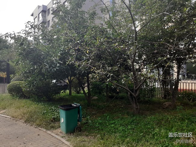 【人間煙火氣】落果歸根