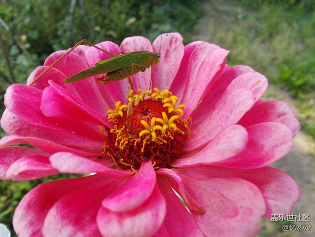 【人間煙火氣】+ 這就是蟲蟲