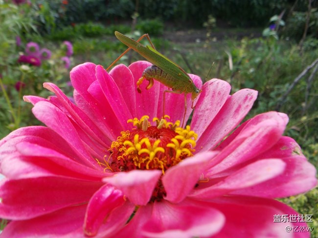 【人間煙火氣】+ 這就是蟲蟲