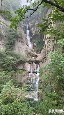 霧蒙蒙的太平國家森林公園