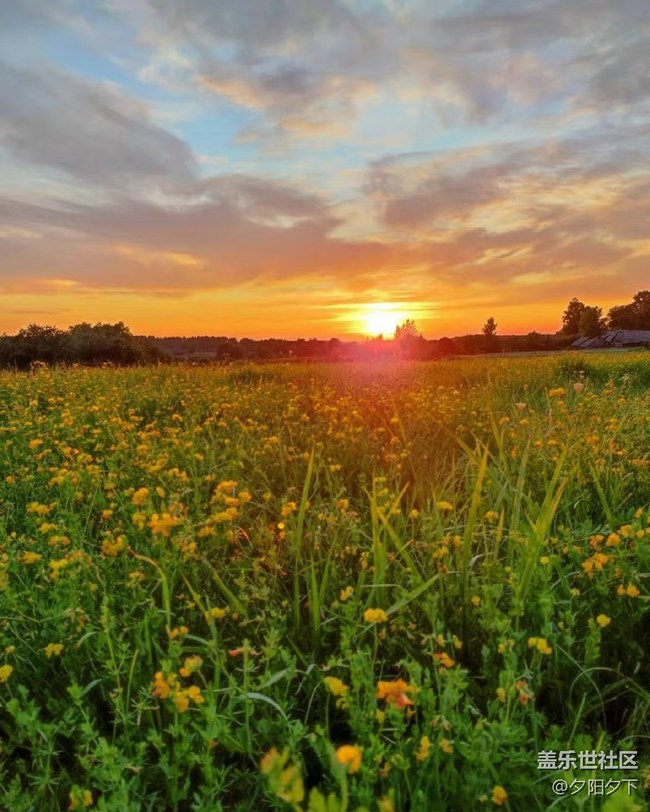 【人間煙火氣】夕陽
