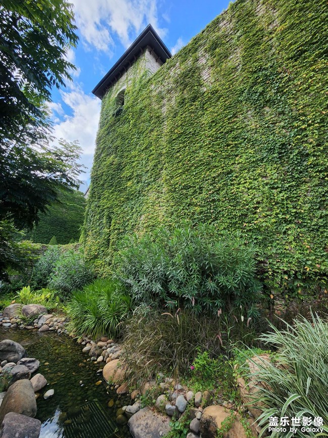 《每周星鮮事》 第118期: