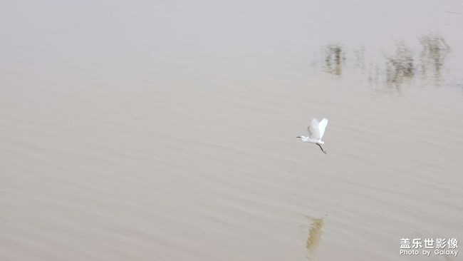 《每周星鮮事》 第118期: