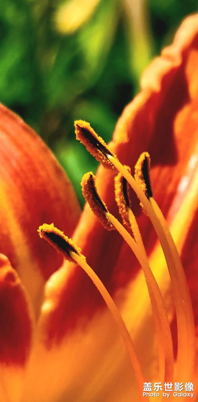 《每周星鮮事》 第118期: