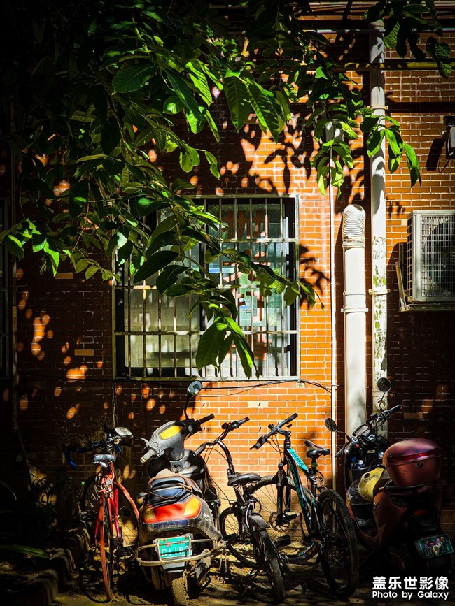 《每周星鮮事》 第118期: