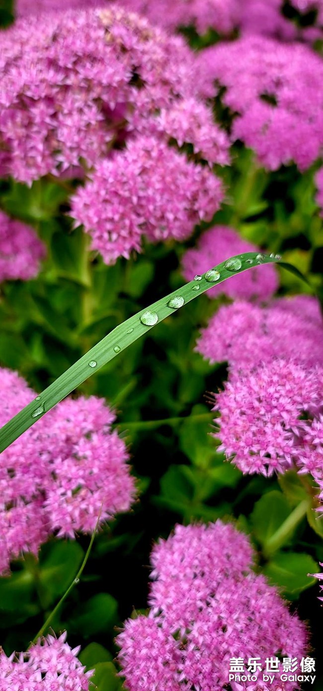 《每周星鮮事》 第118期: