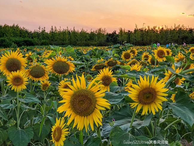 《每周星鮮事》 第118期: